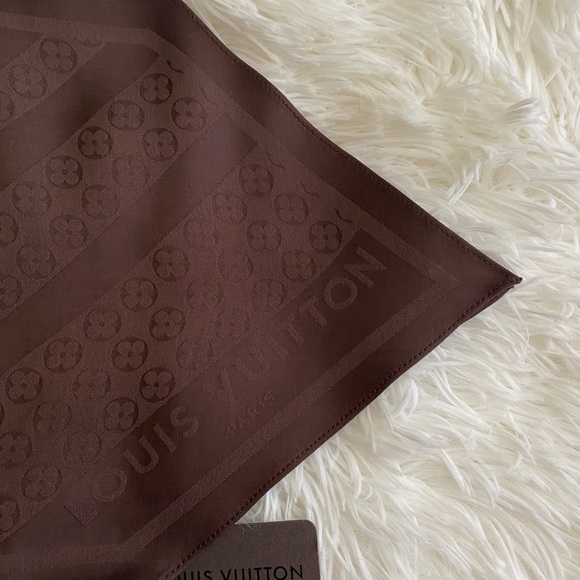 Louis Vuitton Scarf - Picture 4 of 6